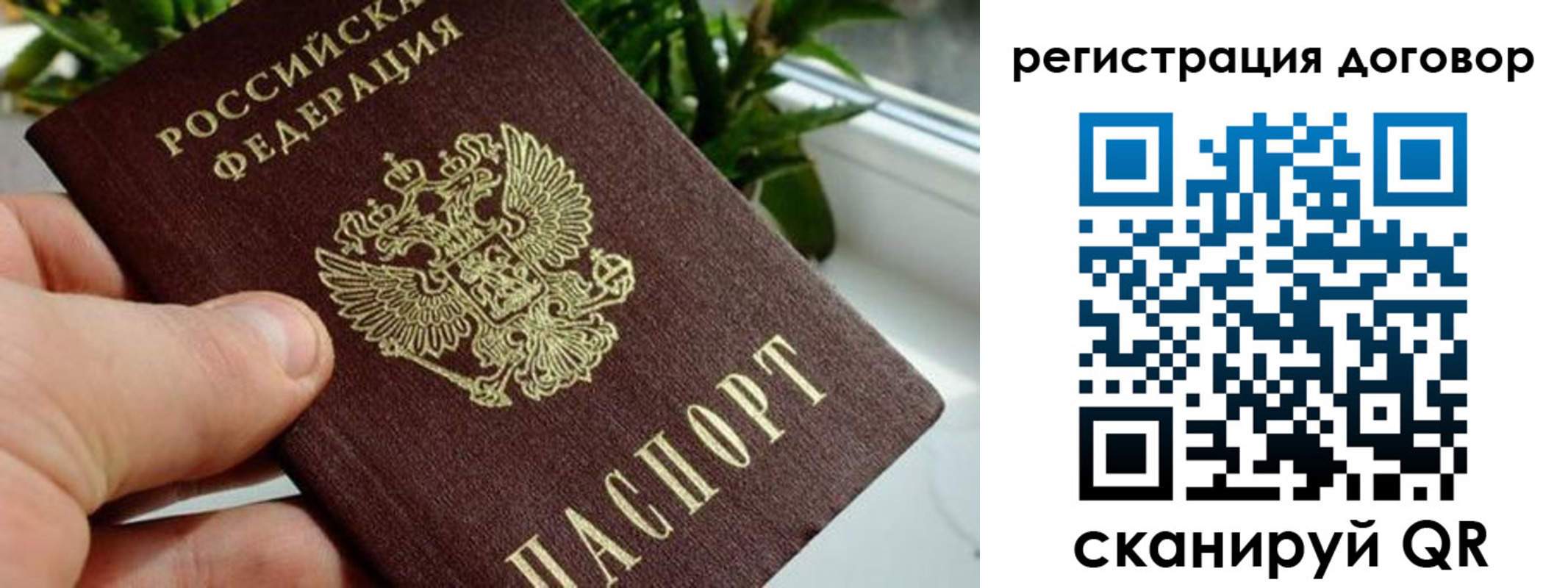 прописка ребенка в Мурманске